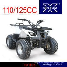 Mini Kinder verwenden 110cc atv